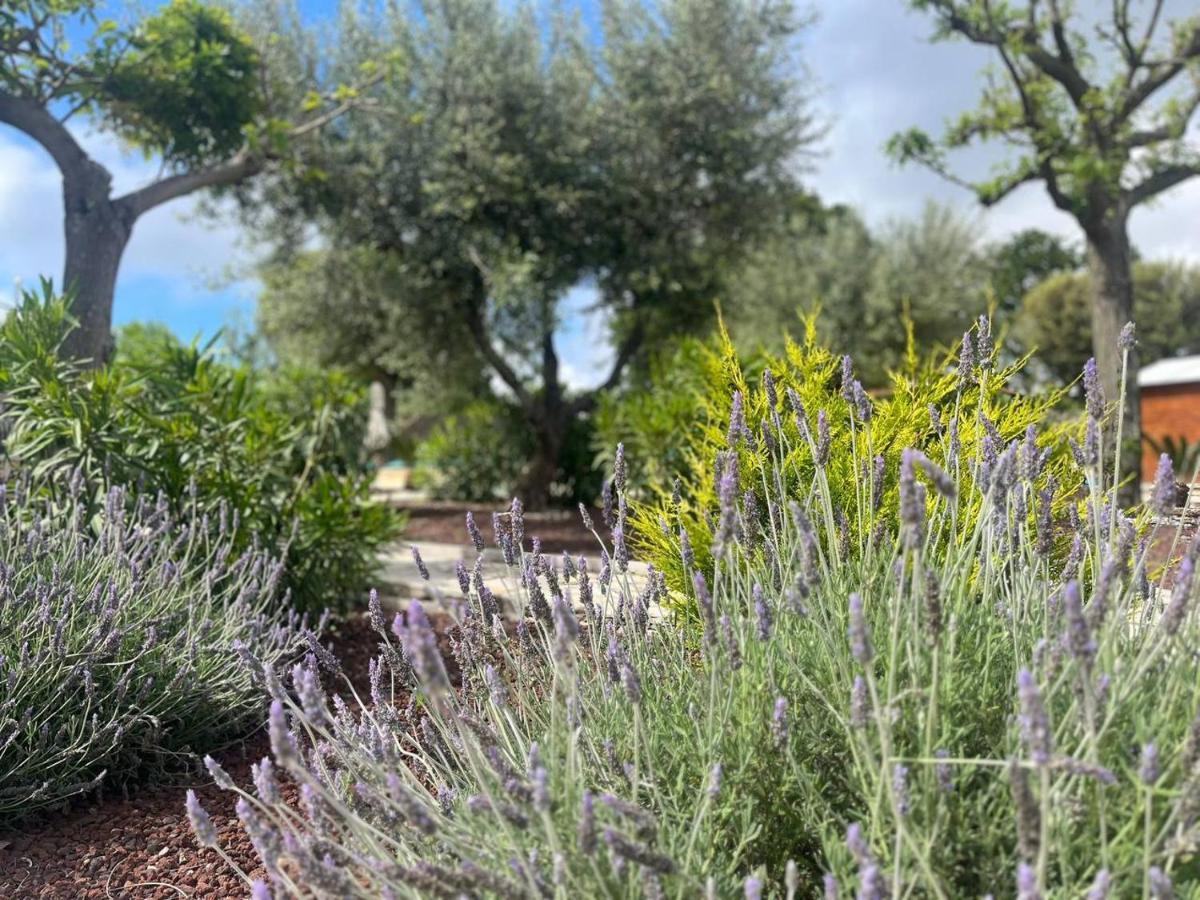 Maison Dei Trulli Apartman Locorotondo Kültér fotó